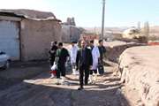 خدمات رایگان دامپزشکان قرارگاه امام رضا(ع) در تاکستان
